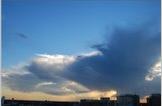 a bird shaped cloud