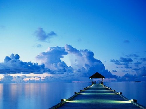purpose of life